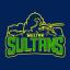 Multan Sultans