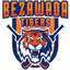 Bezawada Tigers