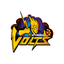 Otago Volts