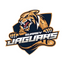 Surrey Jaguars