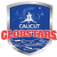 Calicut Globstars