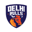 Delhi Bulls