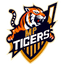 MP Tigers